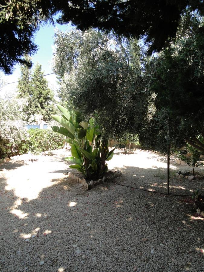 Maison Calme Et Reposante Essaouira Bagian luar foto