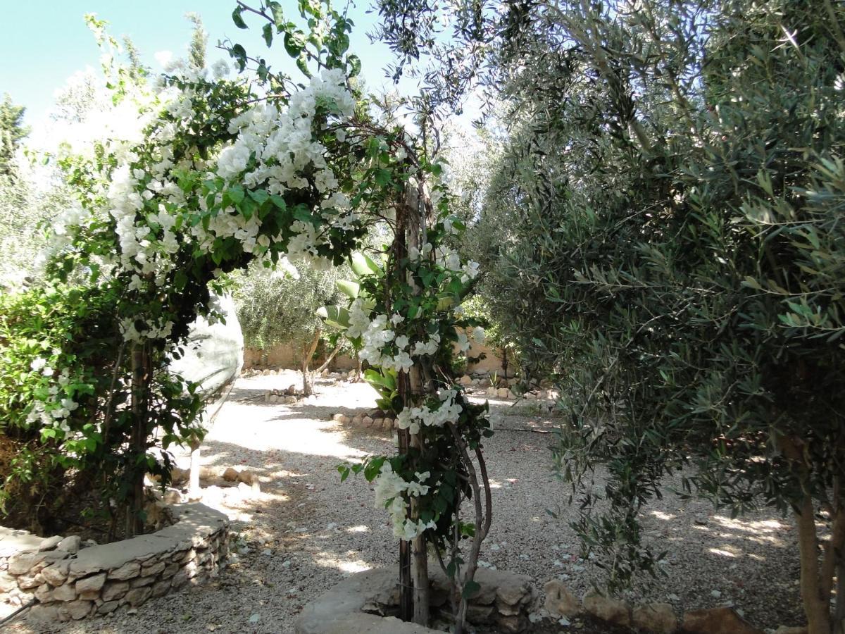 Maison Calme Et Reposante Essaouira Bagian luar foto